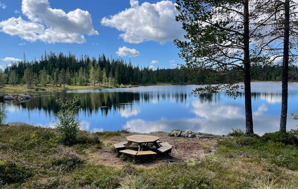 Domy wakacyjne - Vinje, Øyfjell , Norwegia - N35871 901