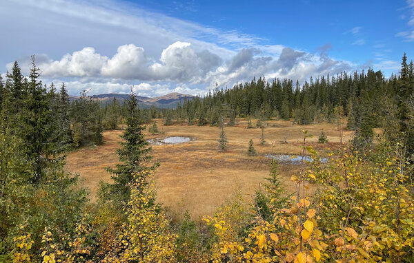 Domy wakacyjne - Vinje, Øyfjell , Norwegia - N35871 902