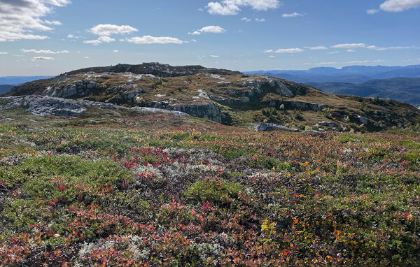 Domy wakacyjne - Vinje, Øyfjell , Norwegia - N35871 903