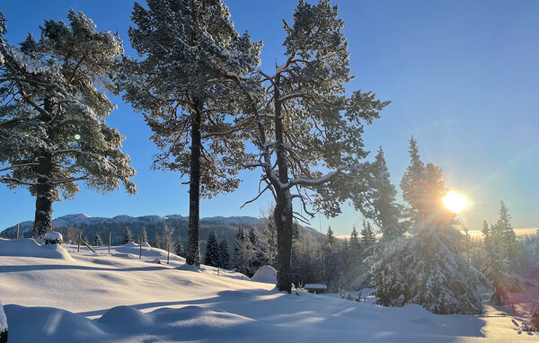 Domy wakacyjne - Vinje, Øyfjell , Norwegia - N35871 905
