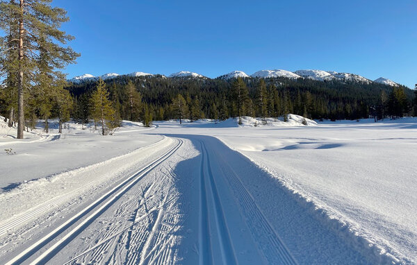 Domy wakacyjne - Vinje, Øyfjell , Norwegia - N35871 906