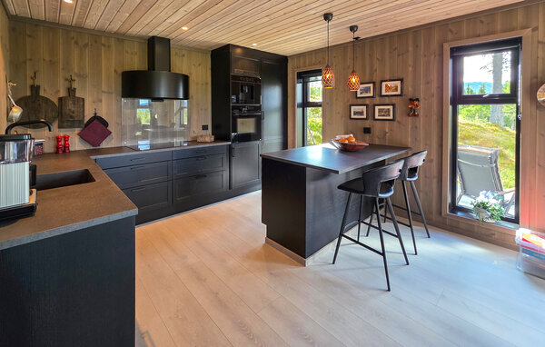 Casa vacanze - Vinje, Øyfjell , Norvegia - N35871 401