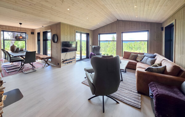 Casa vacanze - Vinje, Øyfjell , Norvegia - N35871 301