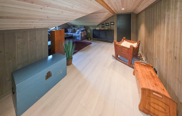Casa vacanze - Vinje, Øyfjell , Norvegia - N35871 305