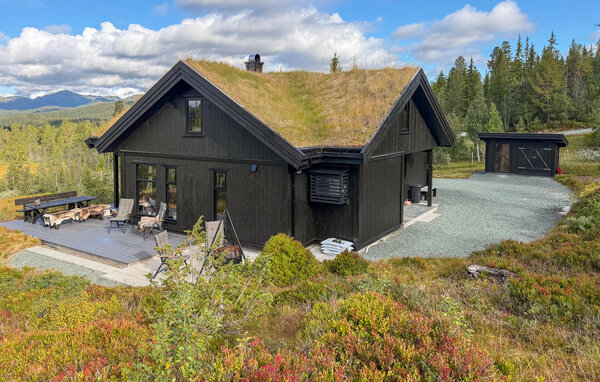 Casa vacanze - Vinje, Øyfjell , Norvegia - N35871 1