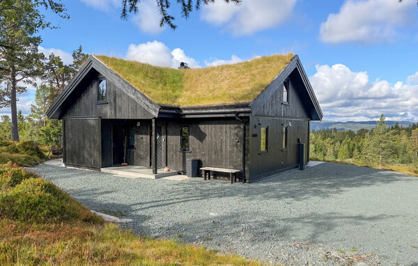 Casa vacanze - Vinje, Øyfjell , Norvegia - N35871 81