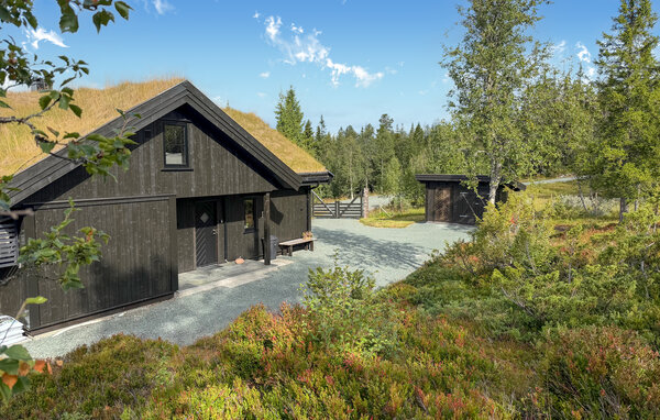 Casa vacanze - Vinje, Øyfjell , Norvegia - N35871 82