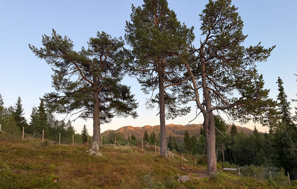 Casa vacanze - Vinje, Øyfjell , Norvegia - N35871 2