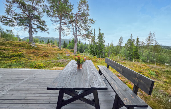 Casa vacanze - Vinje, Øyfjell , Norvegia - N35871 102