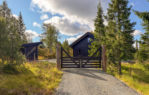 Casa vacanze - Vinje, Øyfjell , Norvegia - N35871 104
