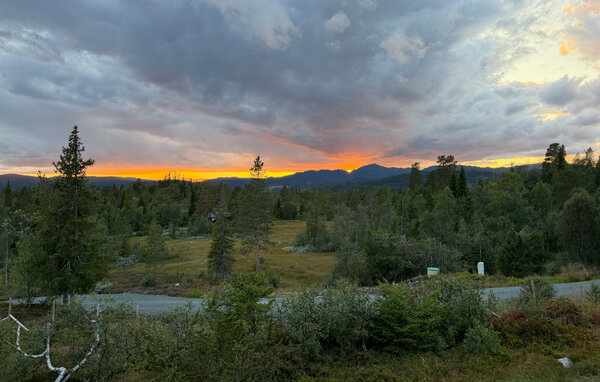 Casa vacanze - Vinje, Øyfjell , Norvegia - N35871 201