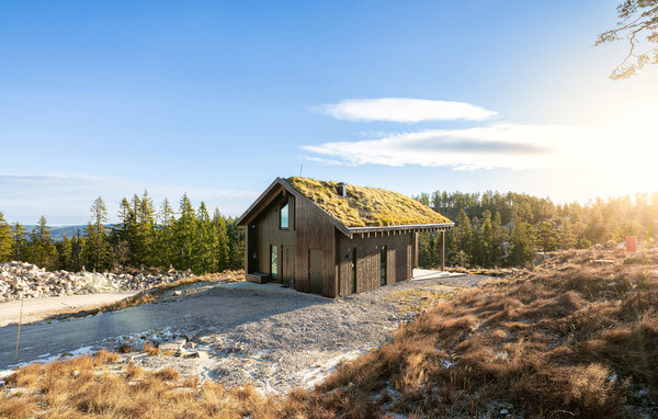 Vakantiehuis - Lifjell, Bø i Telemark , Noorwegen - N35872 81