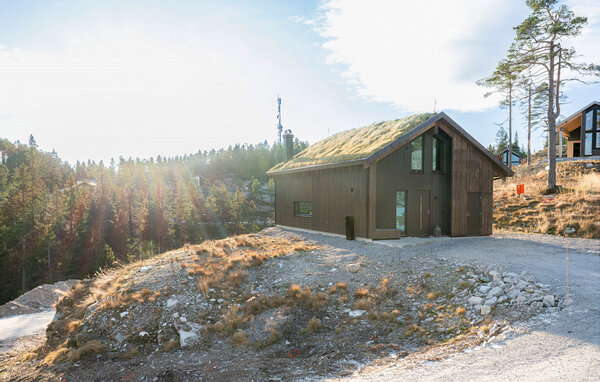 Vakantiehuis - Lifjell, Bø i Telemark , Noorwegen - N35872 82