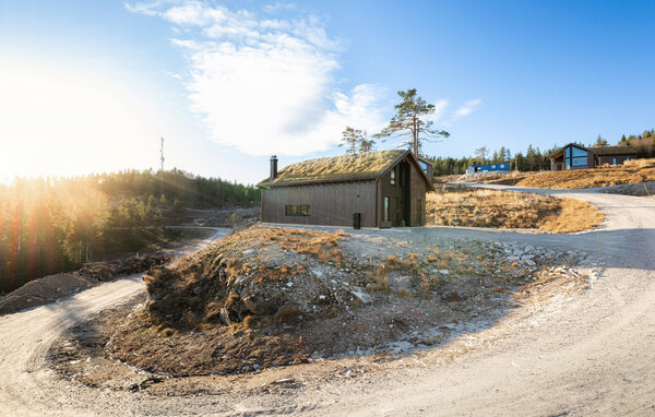 Vakantiehuis - Lifjell, Bø i Telemark , Noorwegen - N35872 8
