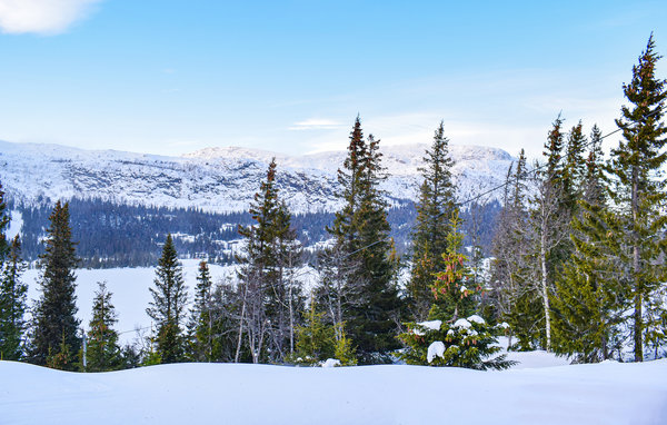 Semesterhus - Rjukan , Norge - N35979 103