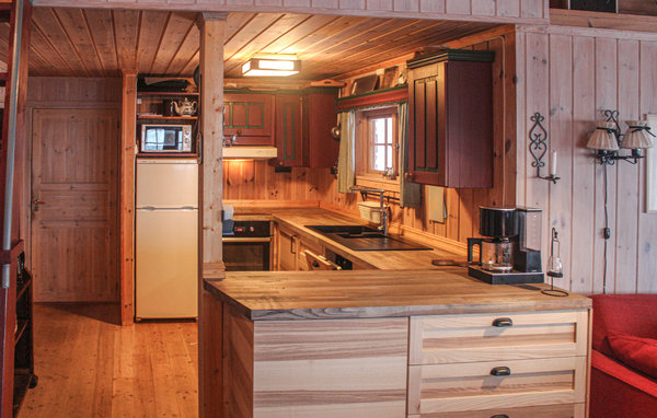 Holiday Home - Tuddal , Norway - N35988 4