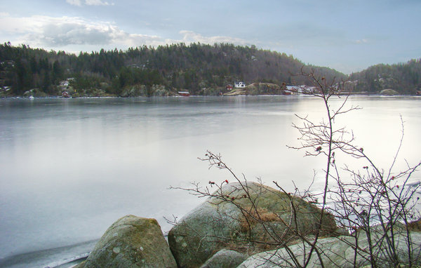 Holiday Home - Langangen , Norway - N36377 901