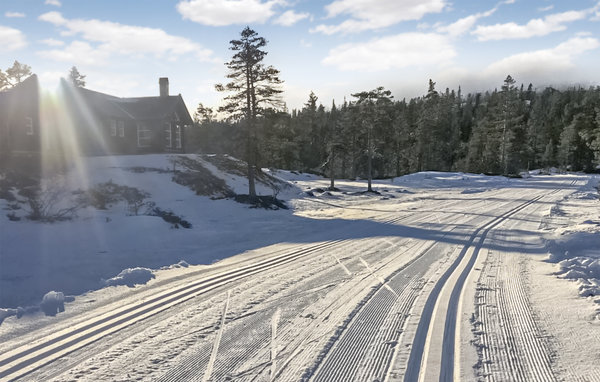 Holiday Home - Vikerfjell , Norway - N37353 101