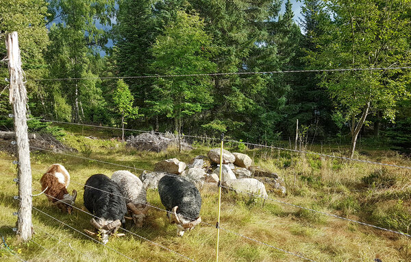 Holiday Home - Aurskog , Norway - N37376 905