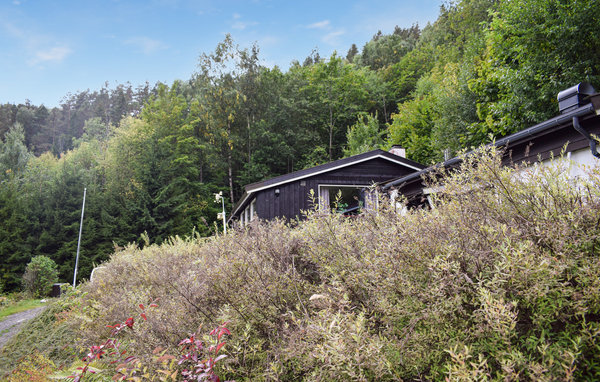 Feriehus - Kusandvika/ØstModum , Norge - N37420 83