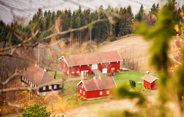 Domy wakacyjne - Tyrifjorden , Norwegia - N37452 9