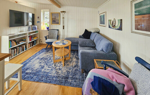 Ferienhaus - Larkollen , Norwegen - N37815 2