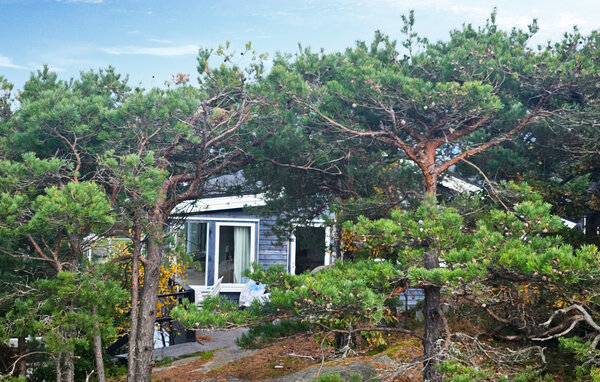 Location de vacances - Gressvik , Norvège - N37821 81