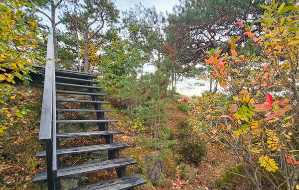 Location de vacances - Gressvik , Norvège - N37821 101