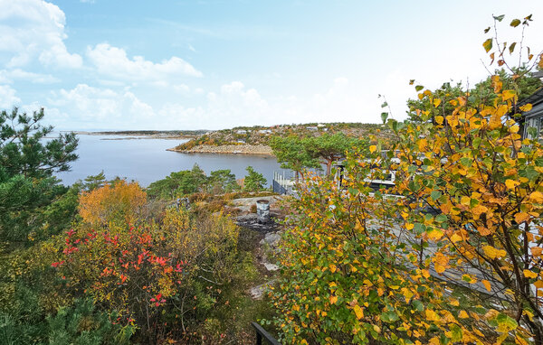 Location de vacances - Gressvik , Norvège - N37821 9