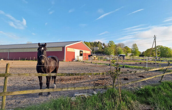 Husbåt - Fredrikstad , Norge - N37824 904