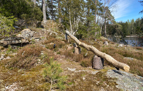 Kuća-za-odmor - Våler/Søndre Bratterød Gård , Norveska - N37830 105