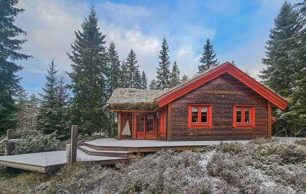Feriehuse - Skrim , Norge - N37921 1