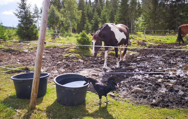 Feriehuse - Skrim , Norge - N37921 104