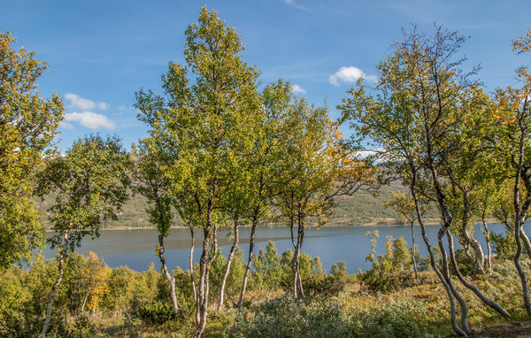 Ferienhaus - Oppdal/Skarvatnet , Norwegen - N38156 2