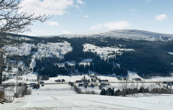 Ferienhaus - Røros/Ålen , Norwegen - N38197 8
