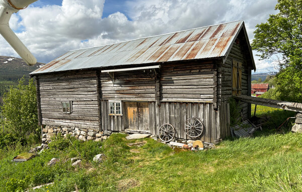 Feriehus - Røros/Ålen , Norge - N38198 9