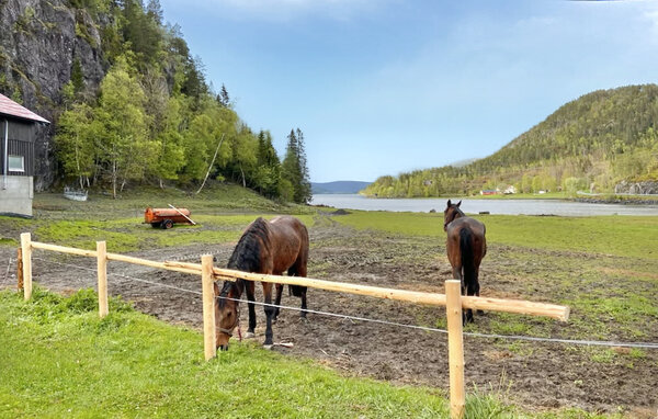 Ferienhaus - Namsos , Norwegen - N38246 7