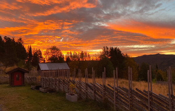 Holiday Home - Oppdal , Norway - N38250 105