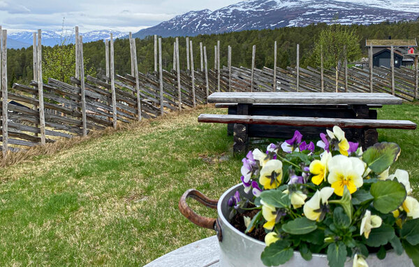 Domy wakacyjne - Oppdal , Norwegia - N38250 201