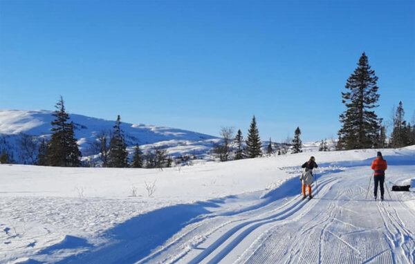 Casa de vacaciones - Røyrvik/Børgefjell , Noruega - N38257 905