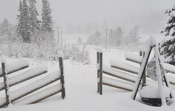 Casa de vacaciones - Røyrvik/Børgefjell , Noruega - N38257 907