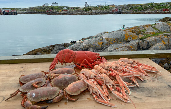 Ferienhaus - Bogøya , Norwegen - N38258 903