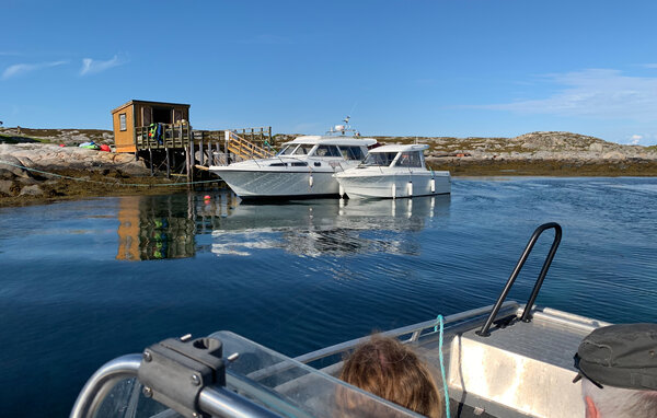 Ferienhaus - Bogøya , Norwegen - N38258 904