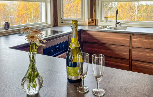 Semesterhus - Røros , Norge - N38260 401