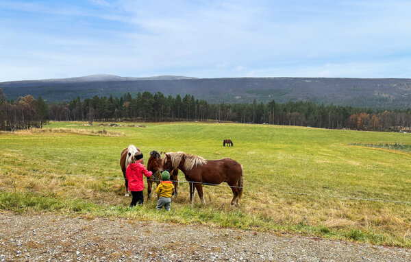 Semesterhus - Røros , Norge - N38260 201
