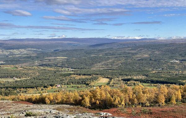 Domy wakacyjne - Oppdal , Norwegia - N38261 902