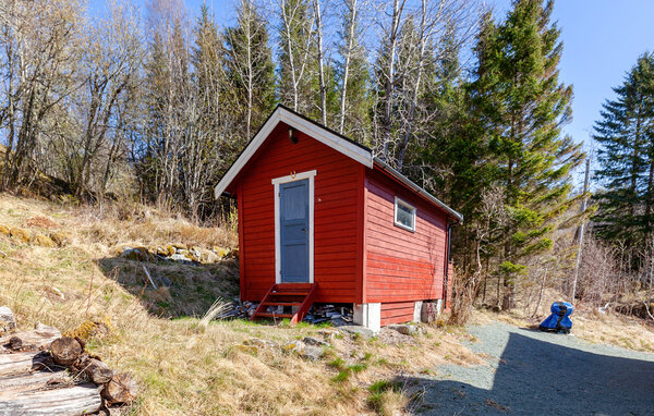 Domy wakacyjne - Bjugn , Norwegia - N38262 101