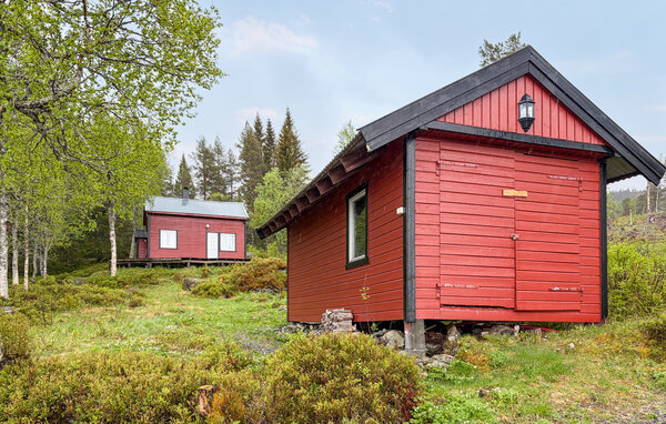 Ferienhaus - Rindal , Norwegen - N38271 1