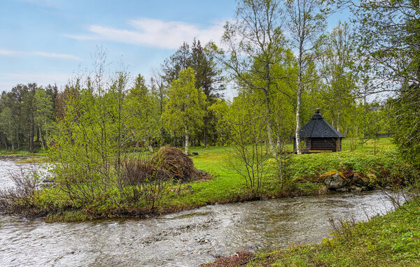 Ferienhaus - Rindal , Norwegen - N38271 106