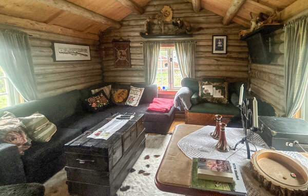 Domy wakacyjne - Røros , Norwegia - N38272 3